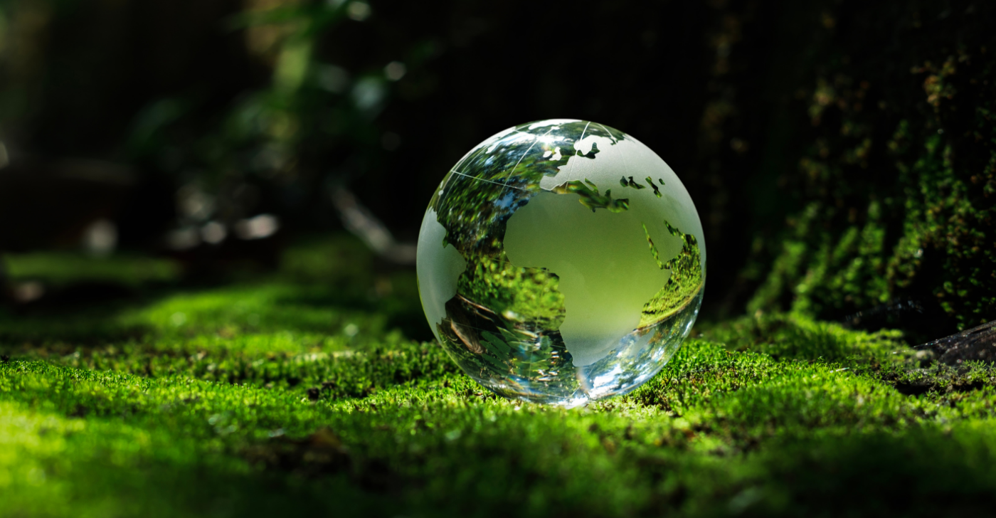 On a mossy, green background a glass globe sits in the foreground to represent enterprise translation.